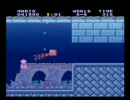 スーパーマリオコレクション Wiiでマリオ２をプレイ　その1１