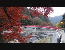 【バイク車載】秋の香嵐渓に行ってきました