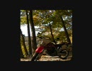 【XRで】　20101108　紅葉を見に行コウヨウ　　おまけ