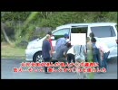 【大沢美加】どうぞご自由にお使いください。