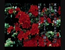【実況】晦-つきこもり- だよ part45