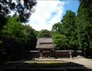 参道をゆく ～若狭一宮 若狭彦神社～