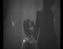 鋼の心で零～月蝕の仮面～を楽しむよ”冷静実況”part24