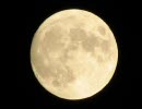 【歌ってみた】 MOON ON THE WATER