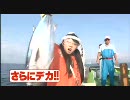 アイドルがカツオを釣りまくる衝撃映像【一本釣り】