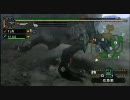 【女二人】キャッキャウフフしながらモンハン実況【MHP2G】Part14