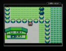 【実況】画面を見ず、音も聞かずにポケモンをプレイ　その後 前編