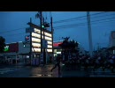 曳き出し_オオクワ.mp4