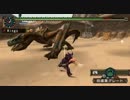 【MHP2G】双剣deモンスターハンター！