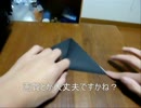 デジカメテスト　折鶴