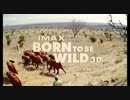 映画予告編【BORN TO BEWILD】2011