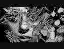 WOOM - The Hunt