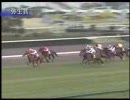 【競馬】 1999年総集編 春のクラシック