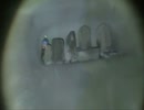 千葉県の【実況肝試し】　第1回 近所のトンネル