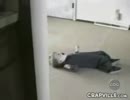 超演技派あかさん