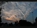 今年撮影した写真をまとめてみた。（2010年版）