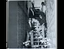 White Boy & The Average Rat Band - The Prophet Song