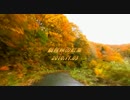 【車載動画】鍋越峠の紅葉　2010.11.03