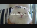 【INSTRUMENTAL】 「ma.do.ro.mi」 【ORIGINAL】