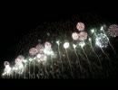 2010.11.23 第105回 えびす講煙火大会 ミュージックスターマイン③