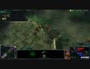 【Starcraft2】 第3回 SJCカップ Stage1決勝 Skeith (Z) vs Nizuosh (Z) 2戦目