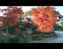 Autumn tint of hot spring inn in Japan　日本的温泉旅馆的红叶