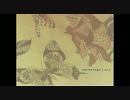 Advantage Lucy『Hello Again』