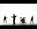 NICOTINE  BLACK FLYS-2010-