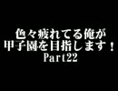 【栄冠ナイン】色々疲れてる俺が甲子園を目指します！Part22