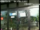【ニコニコ生放送】20101125 片桐えりりか　ストーカー事件　その3　再通報