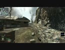 【TDM】Call of Duty:BlackOps　マルチプレイその３【PC】