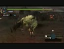 【実況】　自己満モンハンその６１　【MHP2G】　後半　画質up版