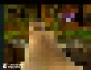 レア社がお届けする発売禁止ゲーム「Conker's bad fur day」を実況　part4