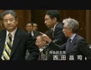 11.26参院予算委員会 上野ひろし議員の質疑（副音声：西やん）