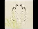 My Brightest Diamond - Disappear (Wheat To Whiskey Mix By Cedar AV)