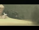 ワンダと巨像　ただ、ワンダが恐い　実況プレイ　NORMAL編　part5