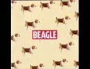 Beagle - A Different Sunday