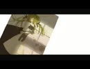 【歌ってみた】Tómur【まー】