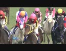 【競馬】2010 ジャパンカップ ローズキングダム (ブエナビスタ降着)