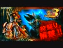 【MHP3rd体験版】ロアルドロスの／斧 そんな略称で大丈夫か？実況