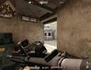 AVA in DualSight HK416 2/2