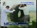 スキージャンプ台でタイヤを転がしたら