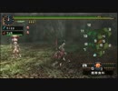 【女二人】キャッキャウフフしながらモンハン実況【MHP2G】Part15