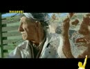Selda - Ağladım Anne