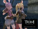 TERA エリンキャニオン