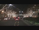 【車載動画】OMOTESANDO ILLUMINATIONS 2010