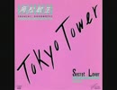 角松敏生　Tokyo Tower