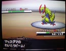 リサとマッスグマのポケモンBW　ランダムバトル編　part13