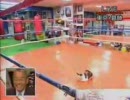 チャンピオン内藤通う宮田ジムのオーナーぬこ