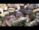 貝とソーセージを焼いてチルるBBQ Pit Boys